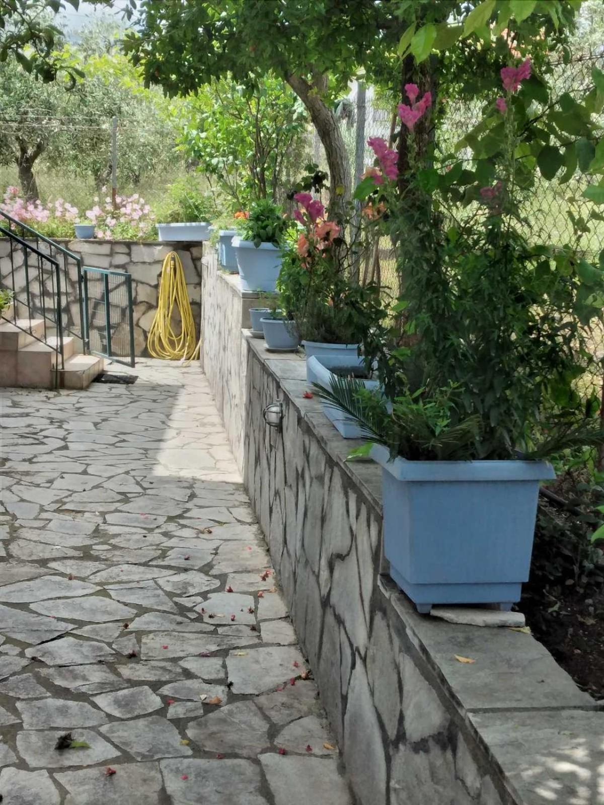 Villa Jenny Leptokaria Zewnętrze zdjęcie