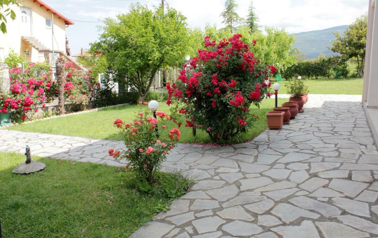 Villa Jenny Leptokaria Zewnętrze zdjęcie